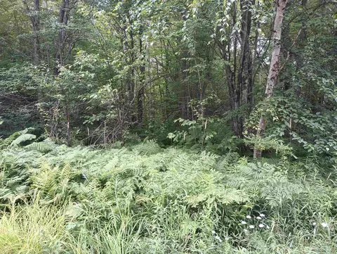 Lot 39 Snowball, Bessemer, MI 49911
