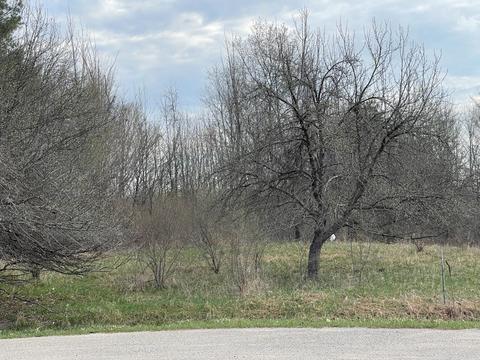 22 Brassie Ct, Gladwin, MI 48624