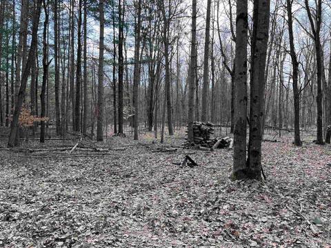 Lots 1159-1160 Pine Run, Farwell, MI 48622
