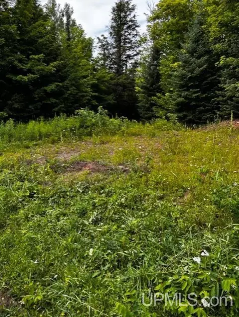 Tbd Airport Rd 10ac, Ironwood, MI 49938