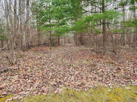 6710 Pineview Ln, Harrison, MI 48625 photo 30