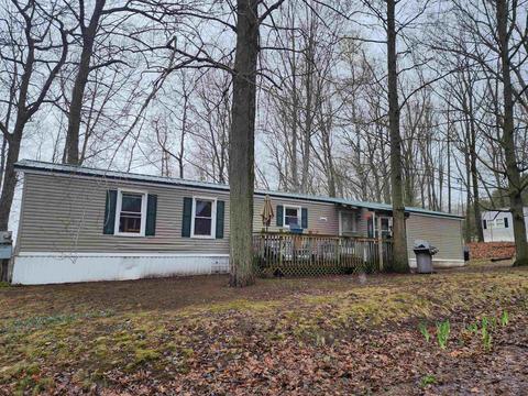 10654 Alpine, Lake, MI 48632