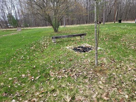 1658 East Shr, Alger, MI 48610 photo 27