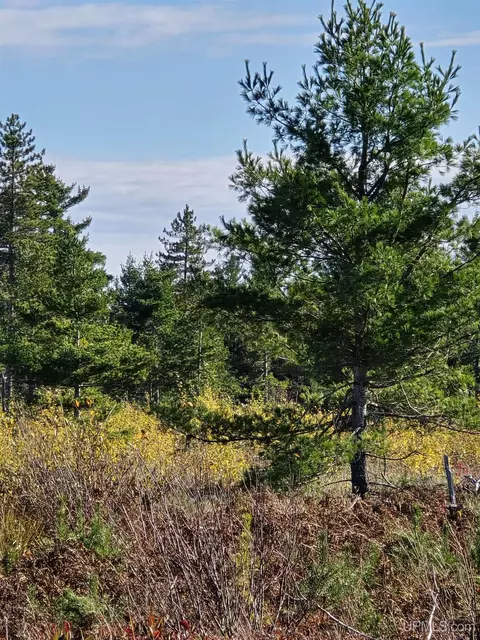 240 Acres Co Rd Aaa, Big Bay, MI 49808