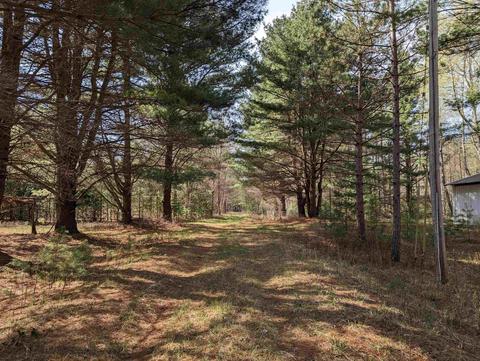 288 E Knox, Beaverton, MI 48612