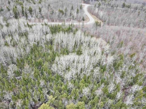 19005 Dogpatch Rd, L'anse, MI 49946