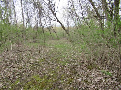 8292 Beecher Rd, Flushing, MI 48433 photo 42