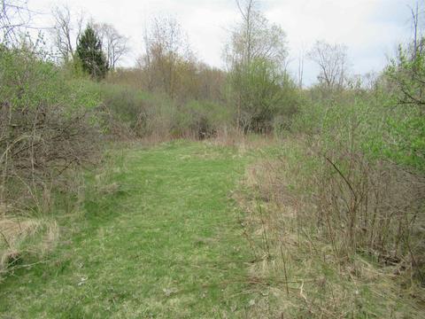 8292 Beecher Rd, Flushing, MI 48433 photo 46
