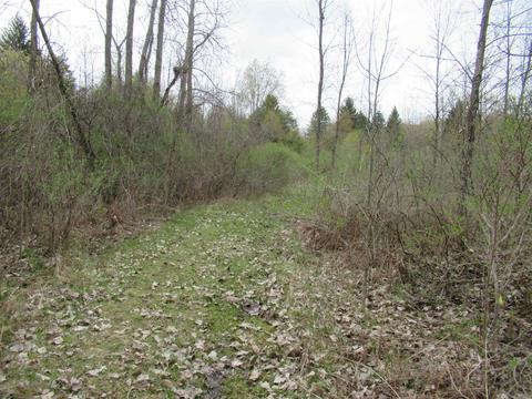 8292 Beecher Rd, Flushing, MI 48433 photo 44