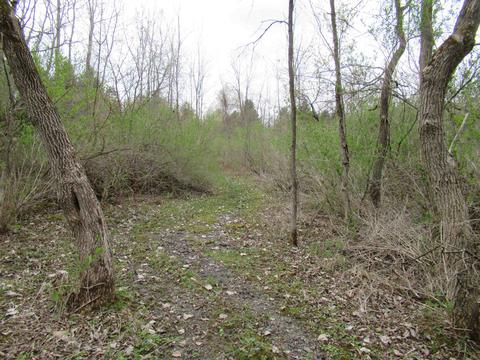 8292 Beecher Rd, Flushing, MI 48433 photo 43