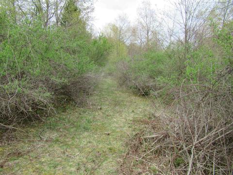 8292 Beecher Rd, Flushing, MI 48433 photo 47