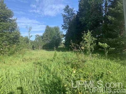 Tbd N.01, Perkins, MI 49872