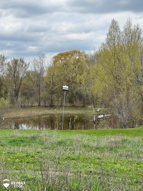 5345 Scott Rd, Mount Morris, MI 48458 photo 51