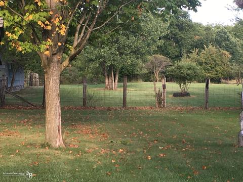 4111 S Vassar, Davison, MI 48423 photo 2