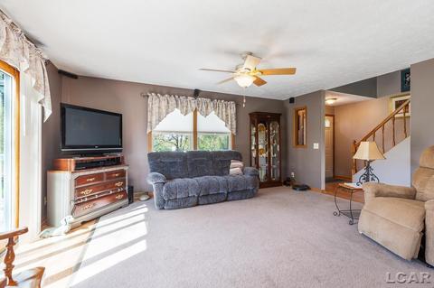 10290 Fairway Dr, Jerome, MI 49249 photo 15