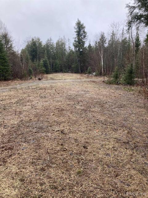 Tbd Off Thorton, Limestone, MI 49816