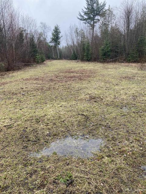 Tbd Off Thorton, Limestone, MI 49816 photo 3