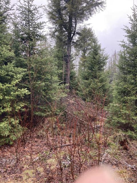 Tbd Off Thorton, Limestone, MI 49816 photo 2
