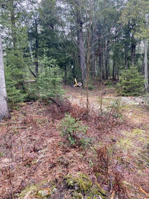 Tbd Off Thorton, Limestone, MI 49816 photo 7
