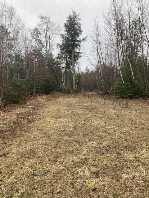 Tbd Off Thorton, Limestone, MI 49816 photo 5