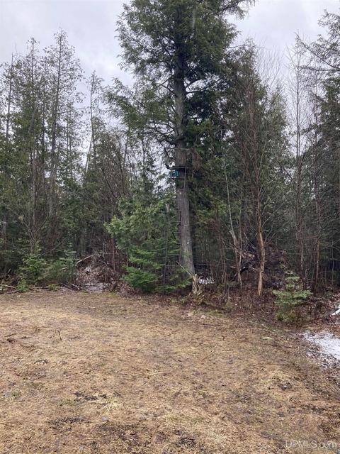 Tbd Off Thorton, Limestone, MI 49816 photo 8