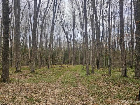 Tbd Camp 23, Gulliver, MI 49840