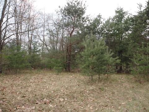 Tbd Woodview Drive, Lake, MI 48632
