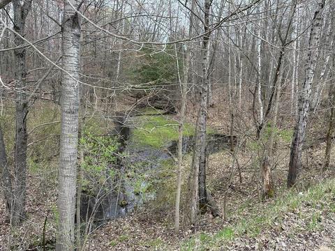 26 Acres S Harrison Ave, Harrison, MI 48625 photo 3