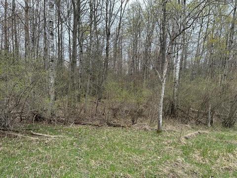 26 Acres S Harrison Ave, Harrison, MI 48625