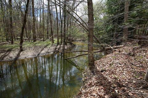 2045 S County Line Rd, Shepherd, MI 48883 photo 46