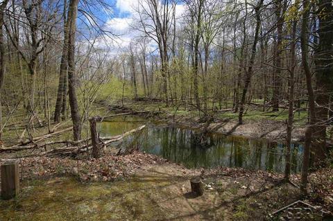 2045 S County Line Rd, Shepherd, MI 48883 photo 11