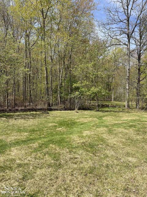 V/l Mayer, Casco, MI 48064 photo 4