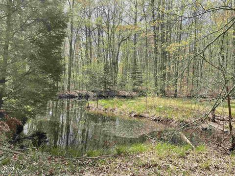 V/l Mayer, Casco, MI 48064 photo 3