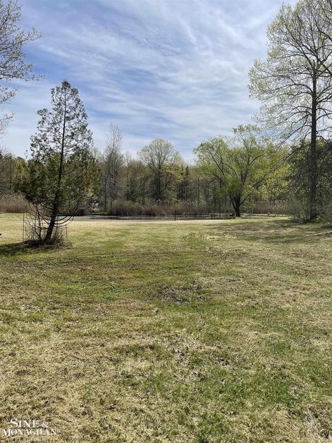 V/l Mayer, Casco, MI 48064 photo 5