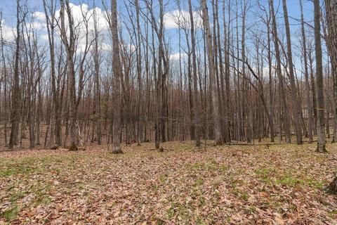5584 Maple, Farwell, MI 48622 photo 23
