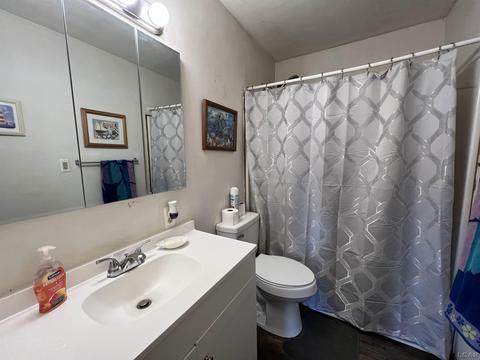 2664 Carson Hwy, Adrian, MI 49221 photo 10