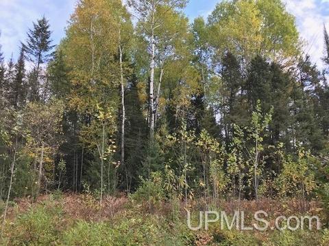 3 67 Acres Ross Lake Rd, Argonne T-wi, WI 54511