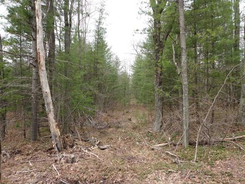 8400 Fir, Harrison, MI 48625
