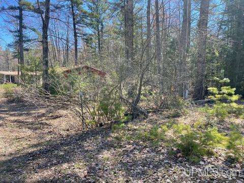 8285 Washington Ave # w, Manistique, MI 49854