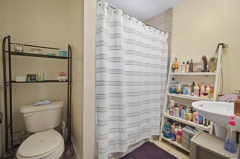 211 Park St, Adrian, MI 49221 photo 14