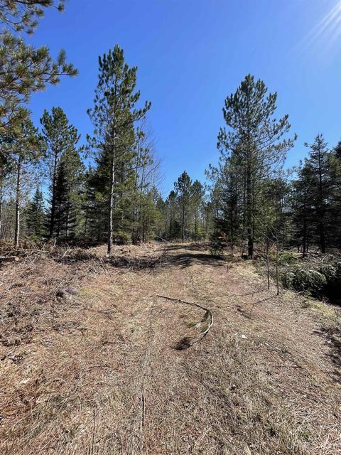 Tbd Sand Rd 1, Hermansville, MI 49847