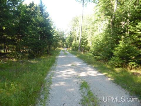 4518 12th, Escanaba, MI 49829 photo 29