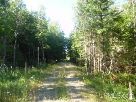 4518 12th, Escanaba, MI 49829 photo 31