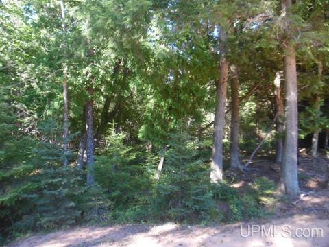 4518 12th, Escanaba, MI 49829 photo 32