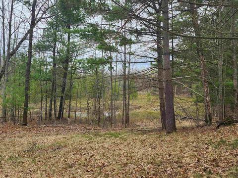 5770 Mostetler, Harrison, MI 48625 photo 5