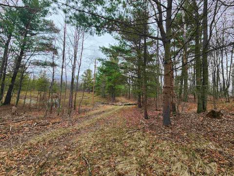 5770 Mostetler, Harrison, MI 48625