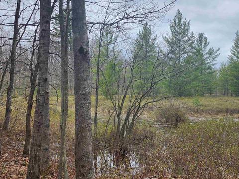 5770 Mostetler, Harrison, MI 48625 photo 2