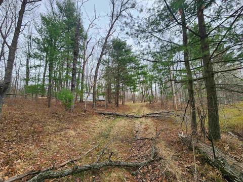 5770 Mostetler, Harrison, MI 48625 photo 3