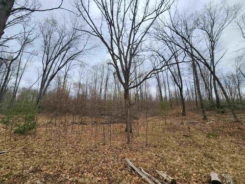 5770 Mostetler, Harrison, MI 48625 photo 6