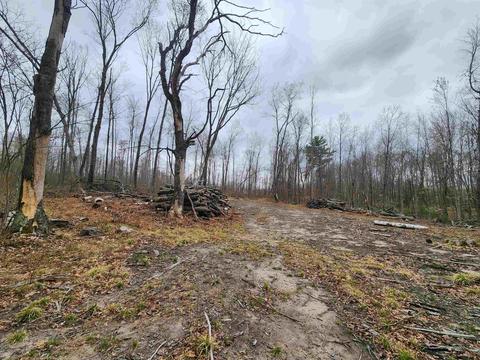 5770 Mostetler, Harrison, MI 48625 photo 10
